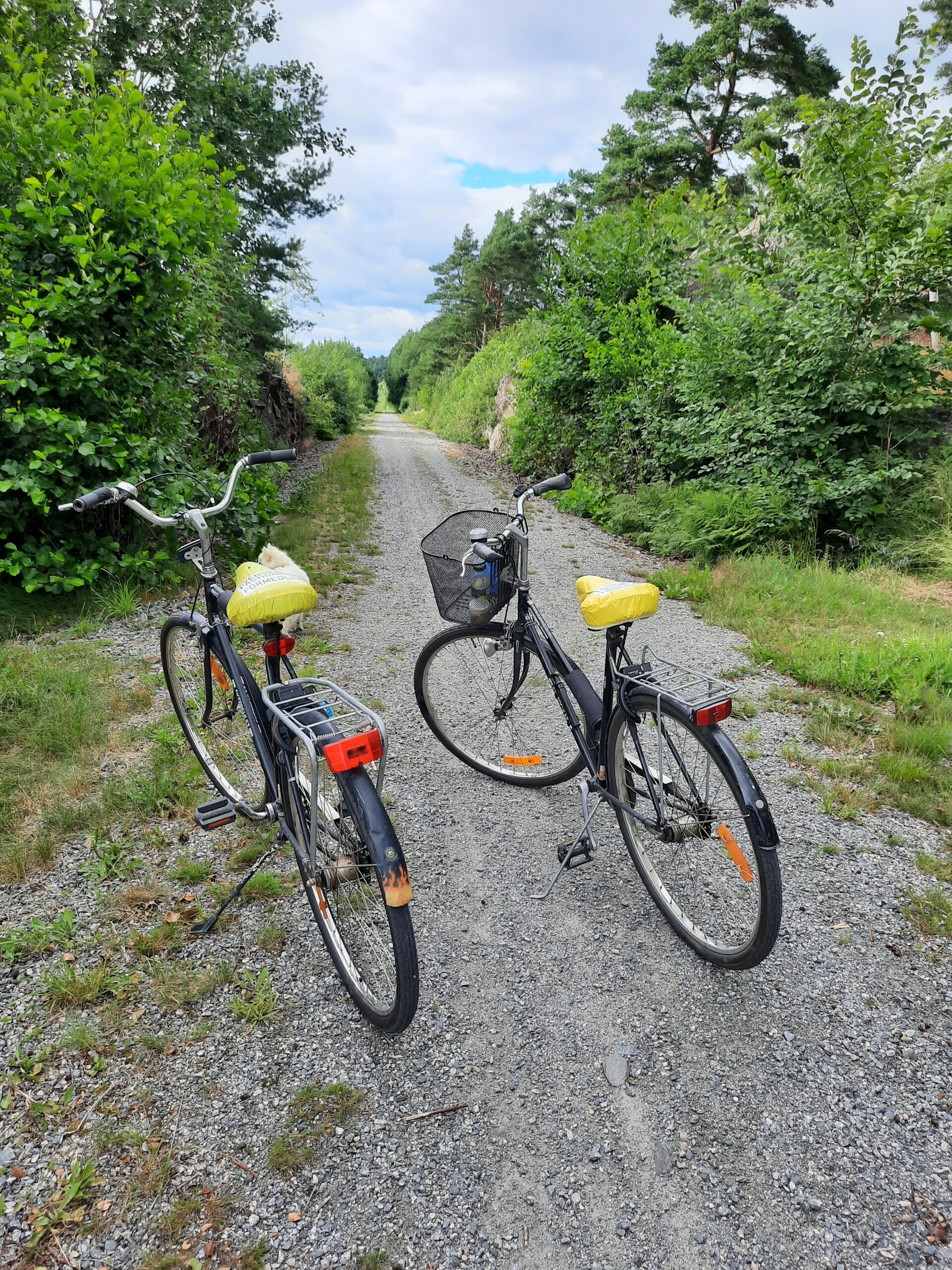 Cykla i båstorp